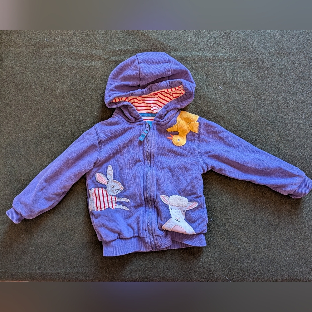 Baby Boden Blue and Red Striped Hoodie